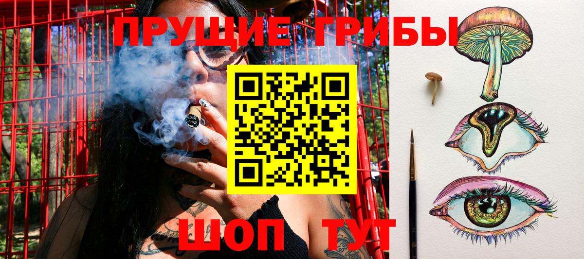 Ейск  Галлюциногенные грибы Psilocybine cubensis  Псилоцибиновые грибы MAGIC MUSHROOMS  Вход с VPN 