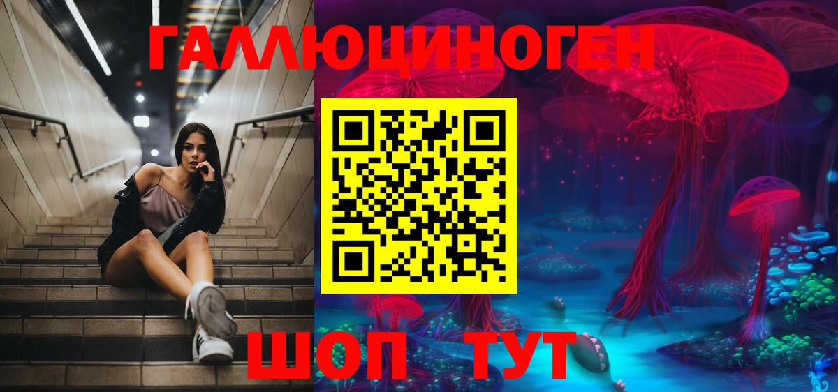 Псилоцибиновые грибы Psilocybine cubensis Ейск